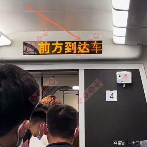 姓胡女孩起名带雅字旁好吗