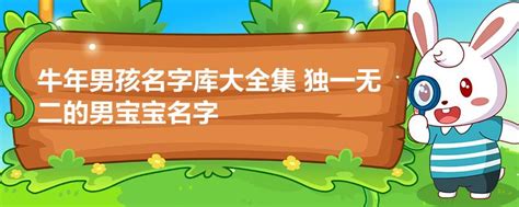 王姓牛宝宝男孩起名大全