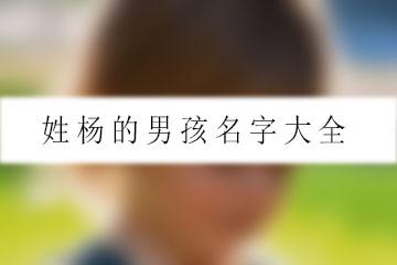 杨字怎么起微信名好听
