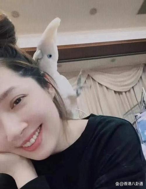 女孩起名字免费起名