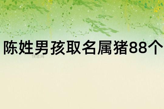 属猪男孩取名宜用字