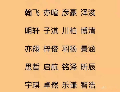 郴起名字的寓意男孩