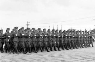 阅兵武器图片