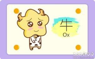 猪年男孩子取名寓意好的字