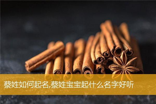 姓蔡的男孩儿取什么名字好