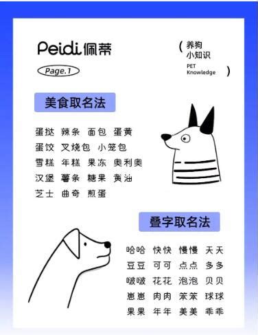给狗狗起名姓孙怎么起名
