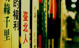 赵紫涵名字含义？