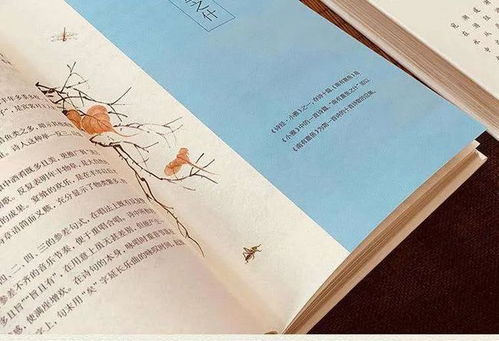 艺文名字的寓意