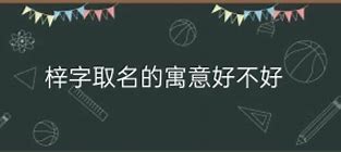 易起名字的字女孩