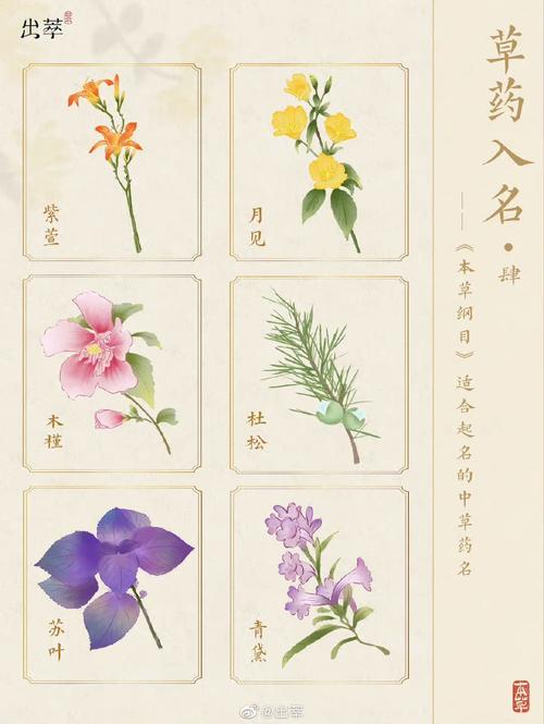 清色的象征意义