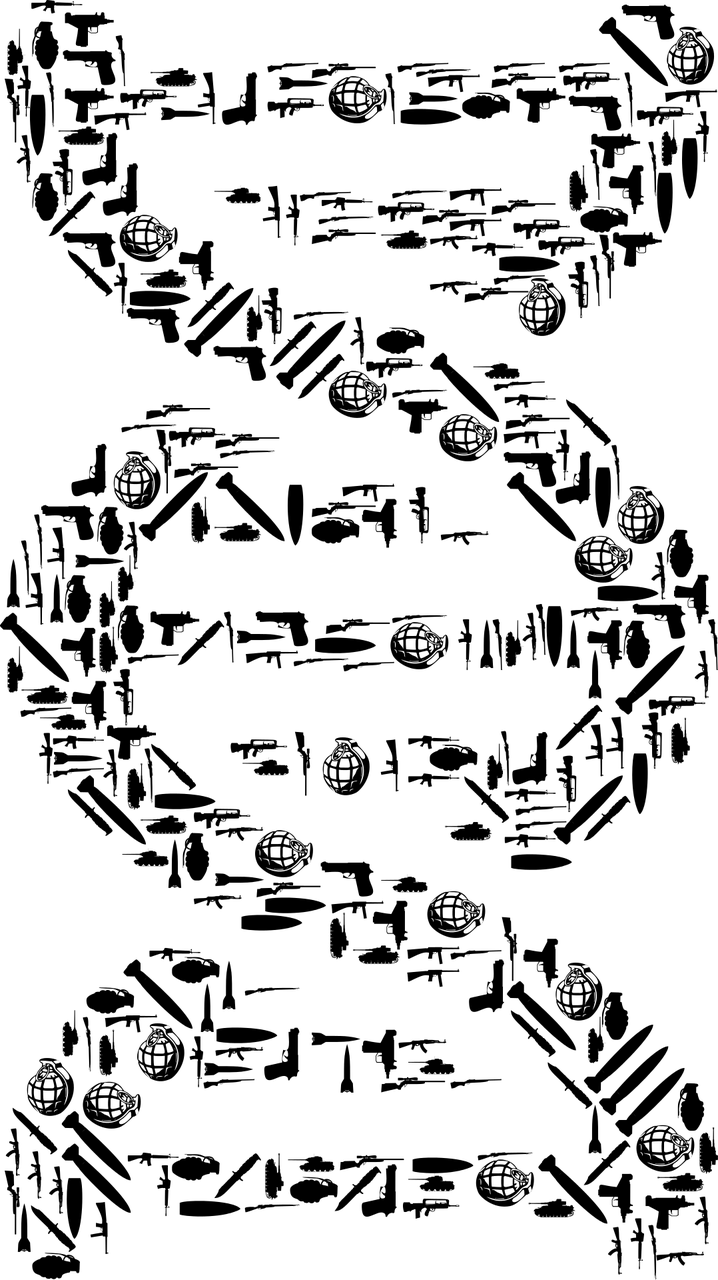 探索三藏测名，姓名学的艺术与科学